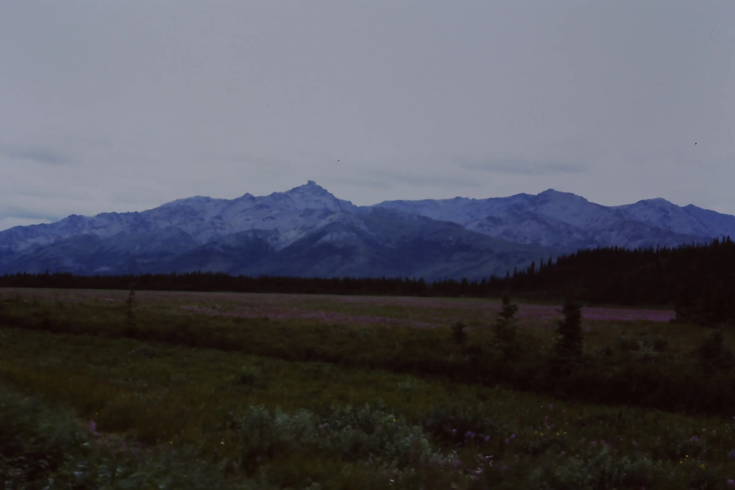 Alaska 96 193.JPG