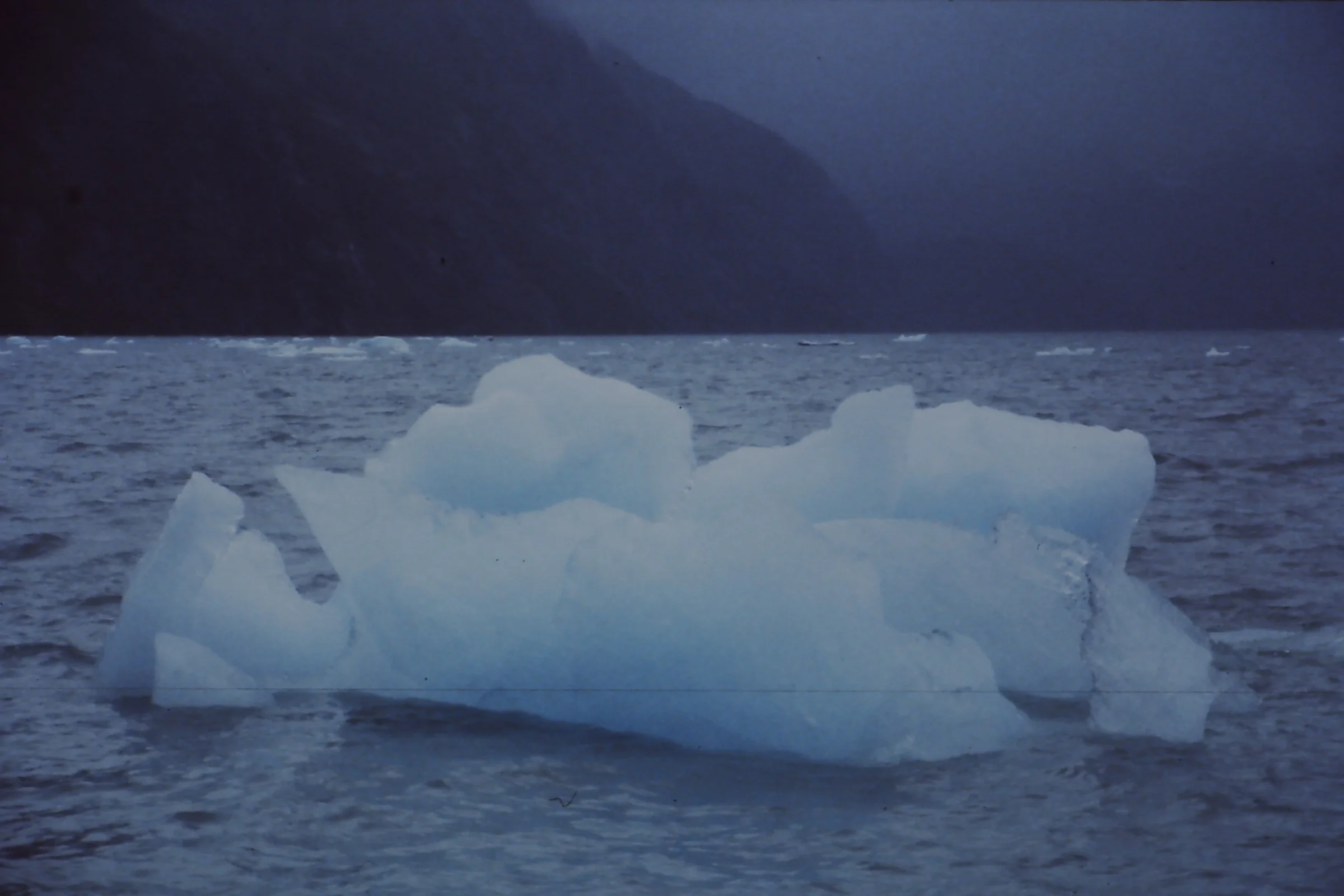 Alaska 96 209.JPG