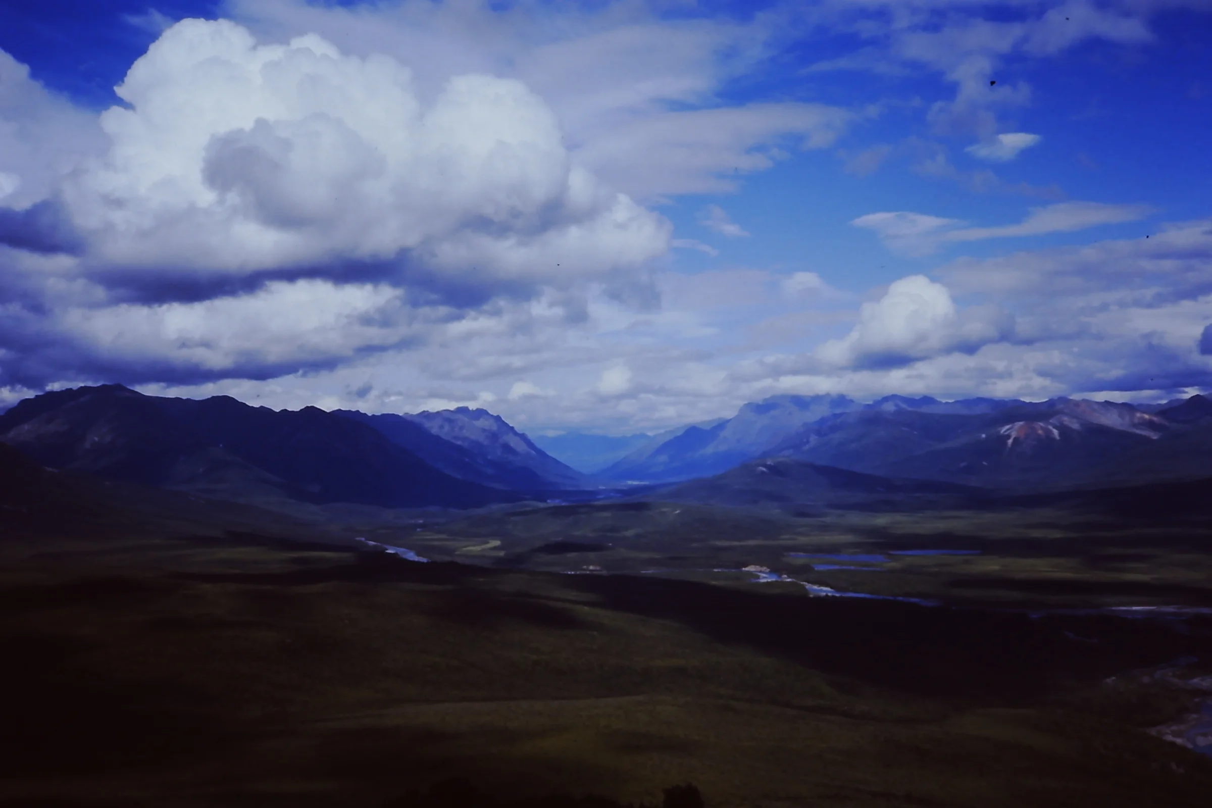 Alaska 96 247.JPG