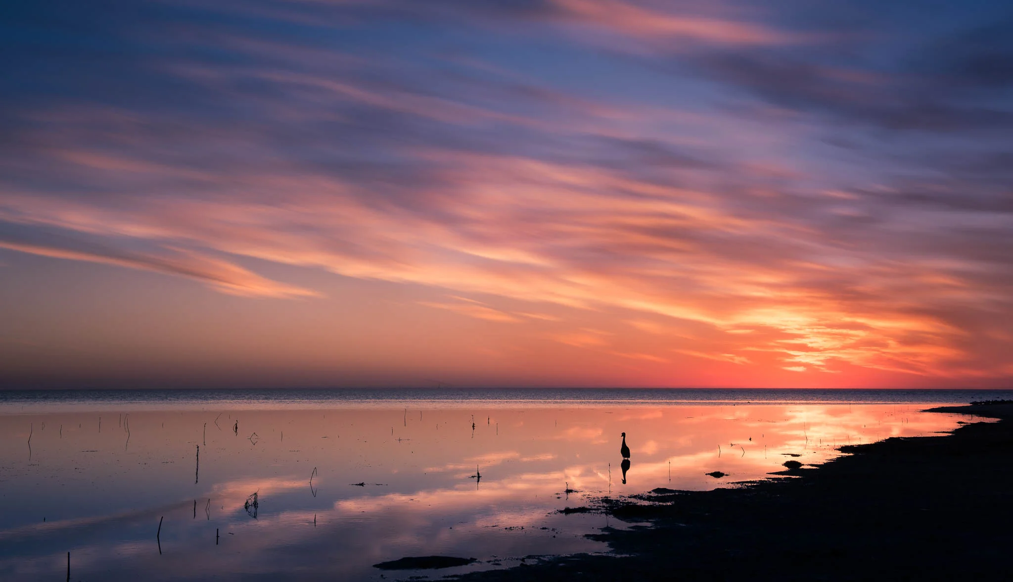 Sunset.jpg