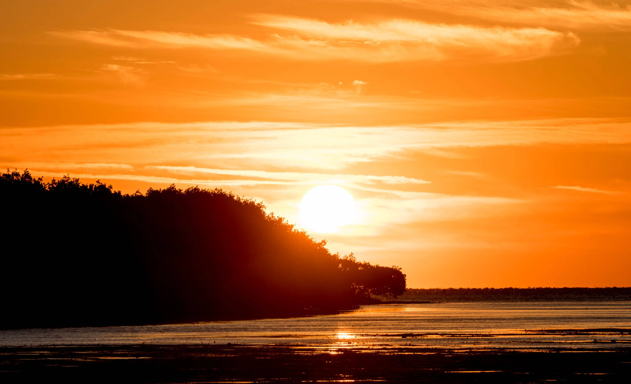 Sunrise
