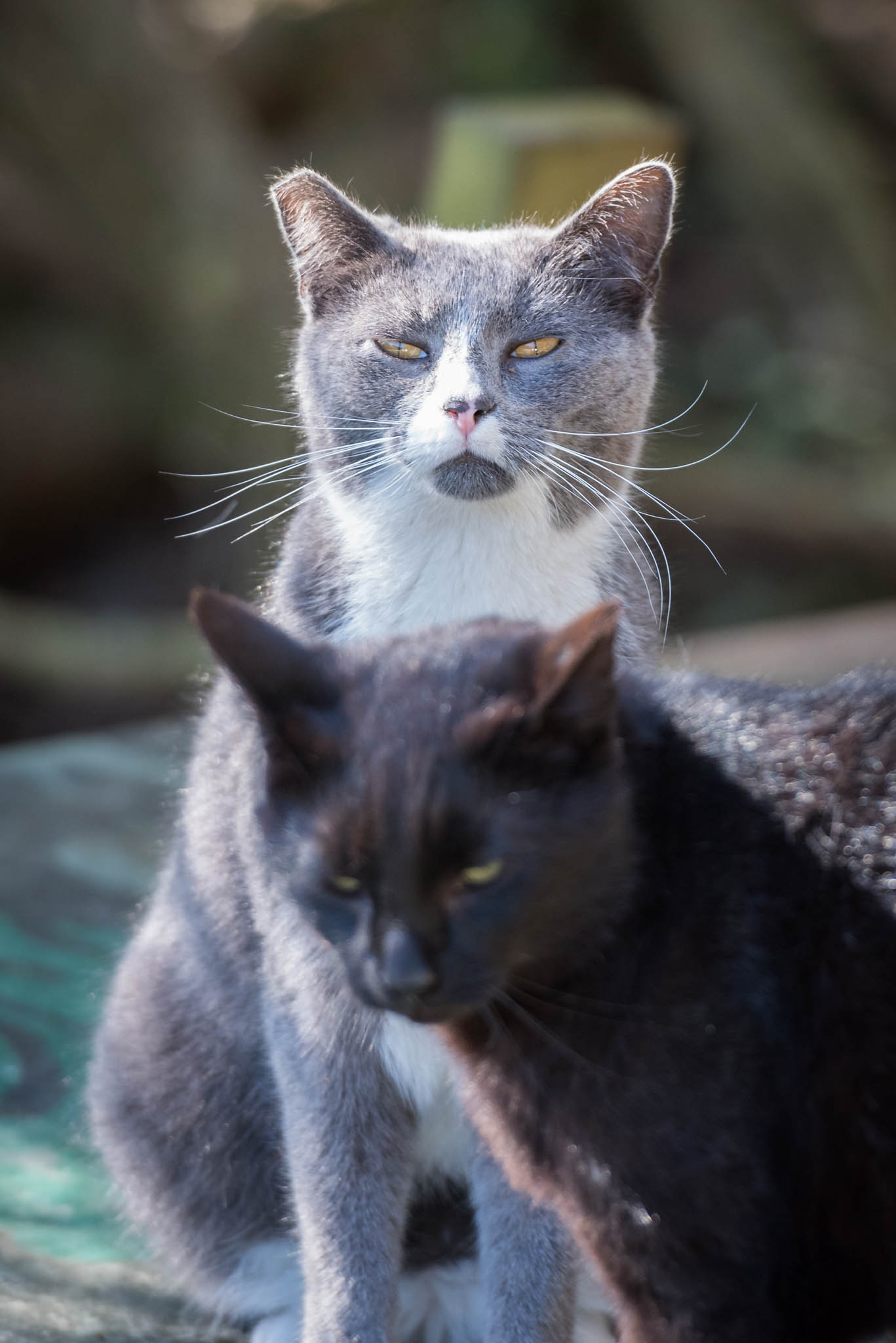 DSC_2476.jpg