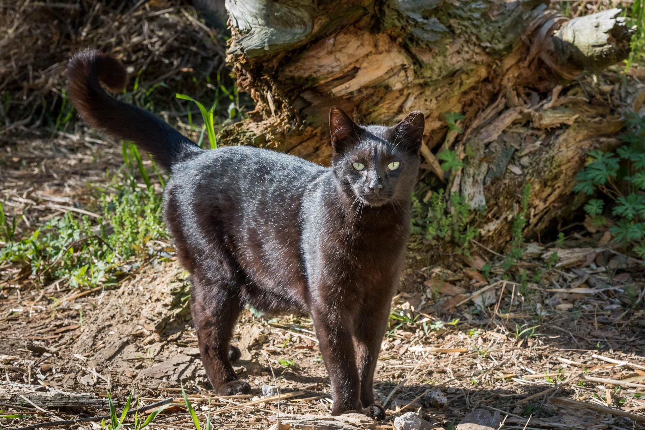 DSC_2466.jpg
