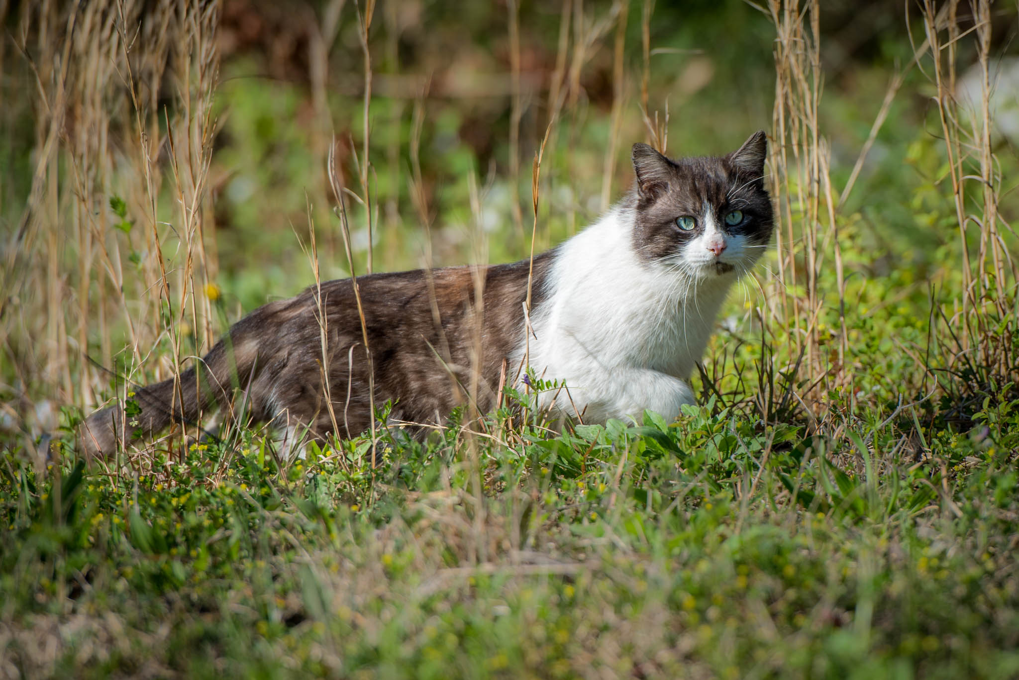 DSC_2519.jpg