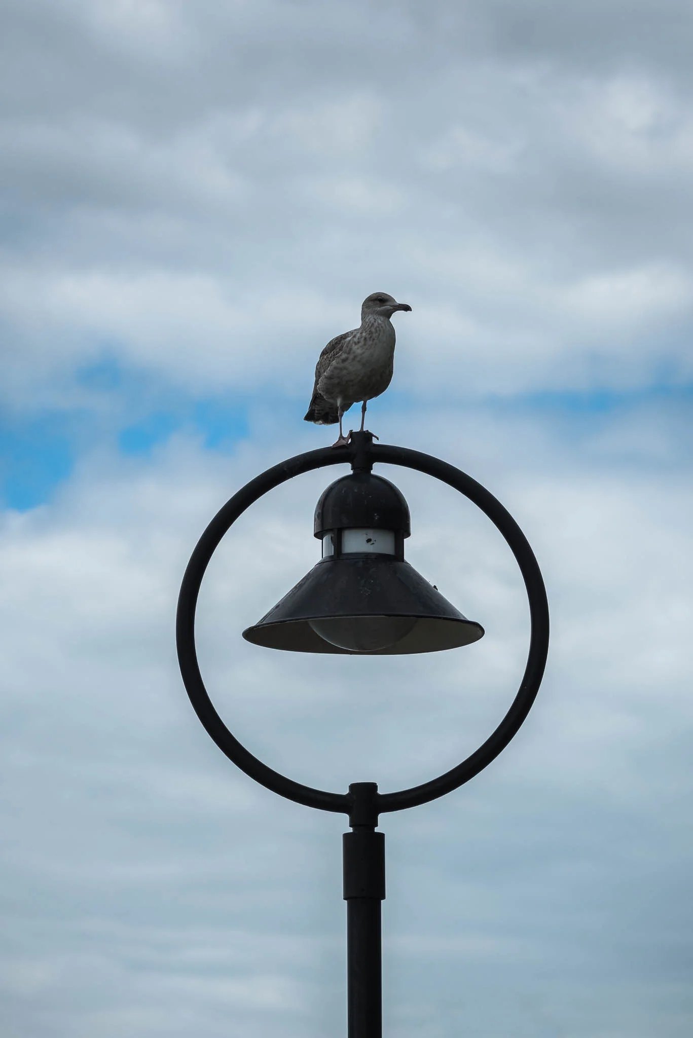 DSC_7777-Edit.jpg