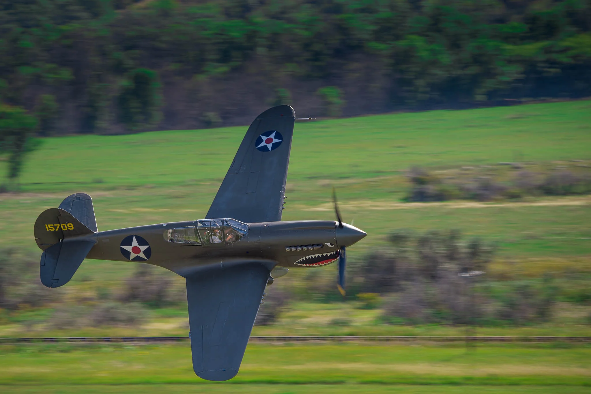 DSC_3413.jpg