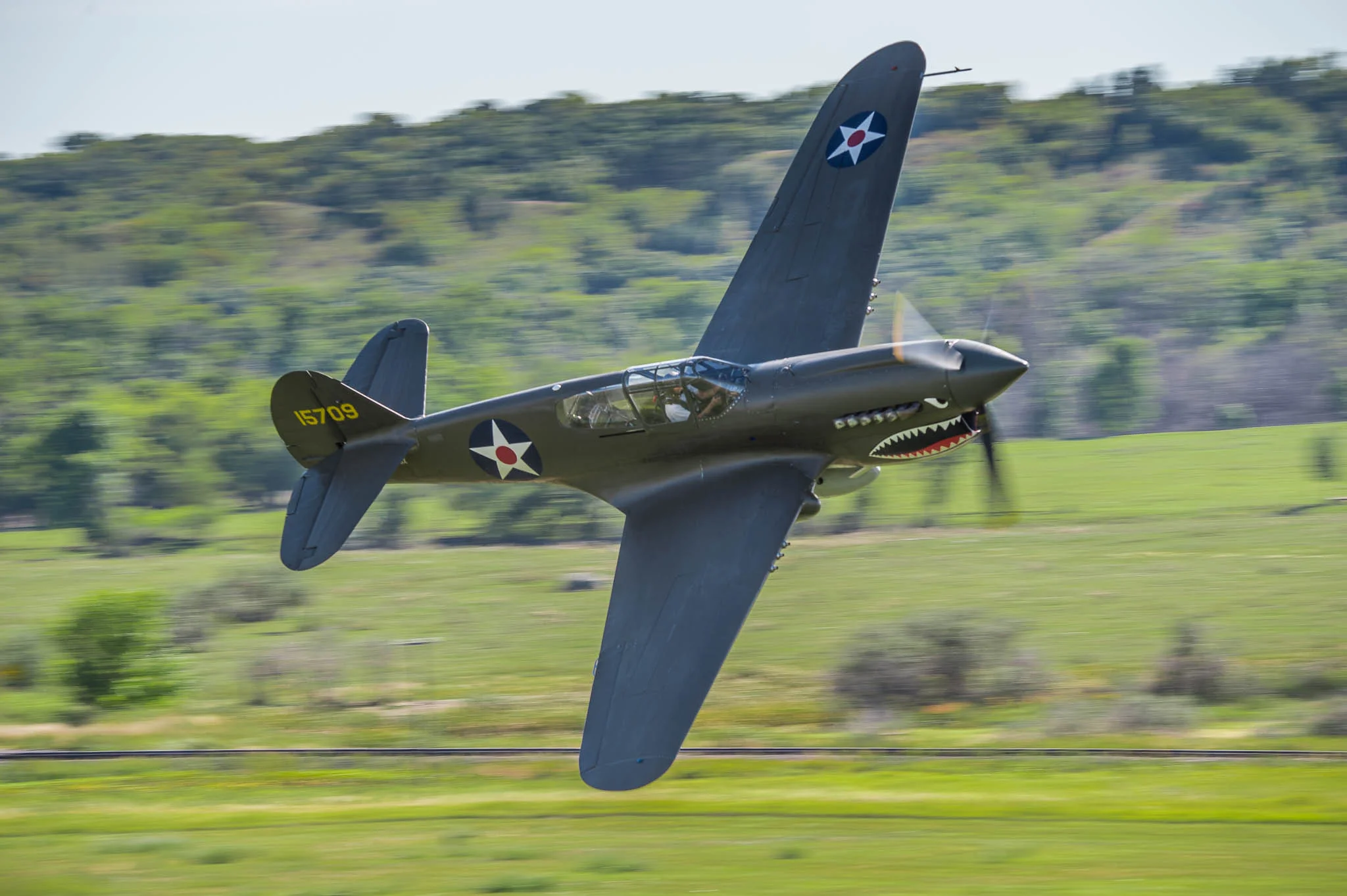 DSC_3802.jpg
