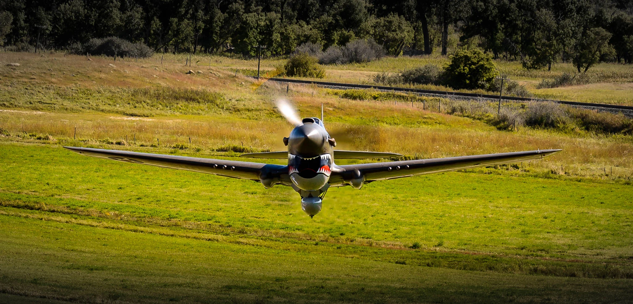 DSC_3754-Edit.jpg