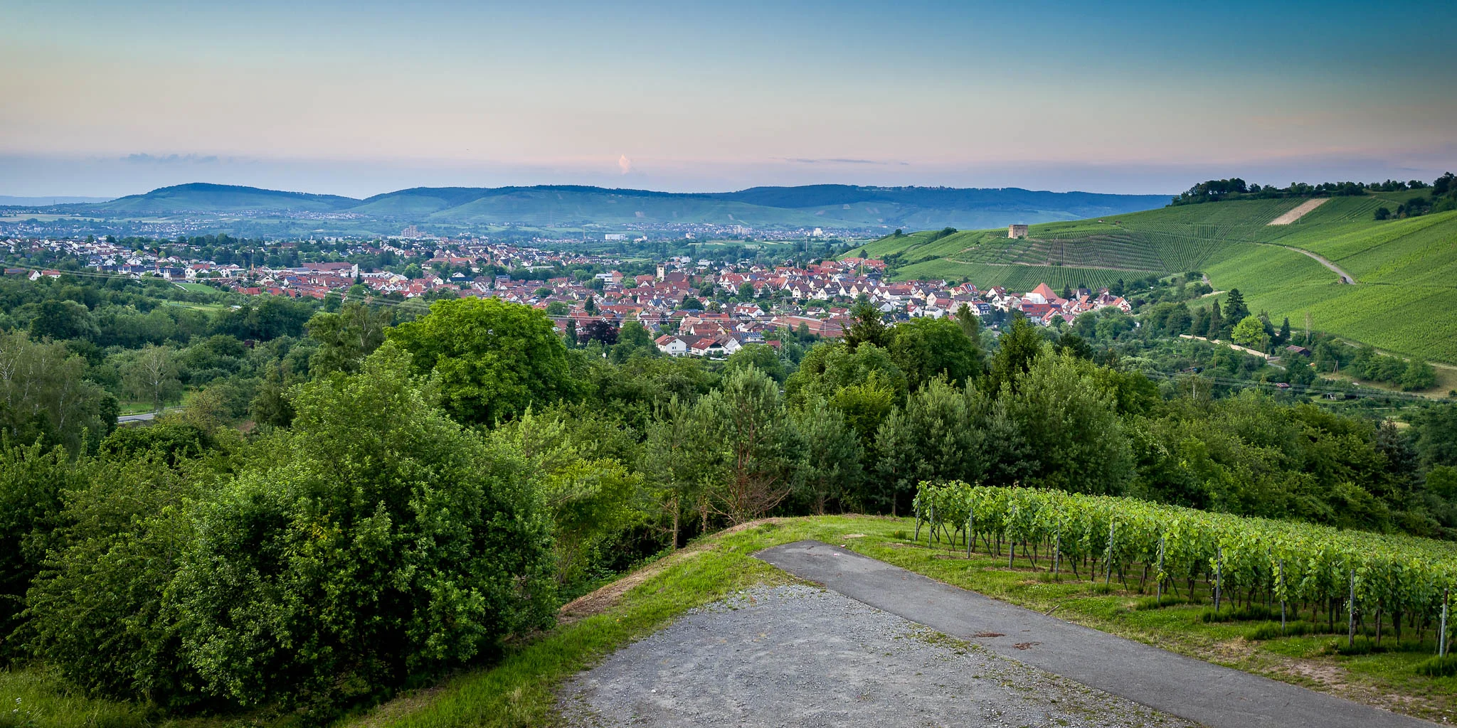 L1000237-Edit.jpg