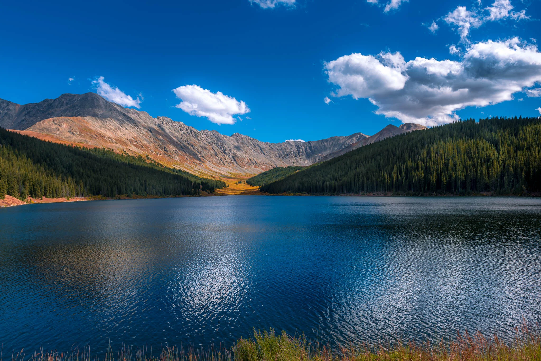 DSC_1257-2.jpg