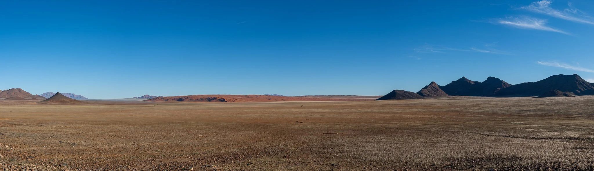 Z8D_6404-Pano.jpg