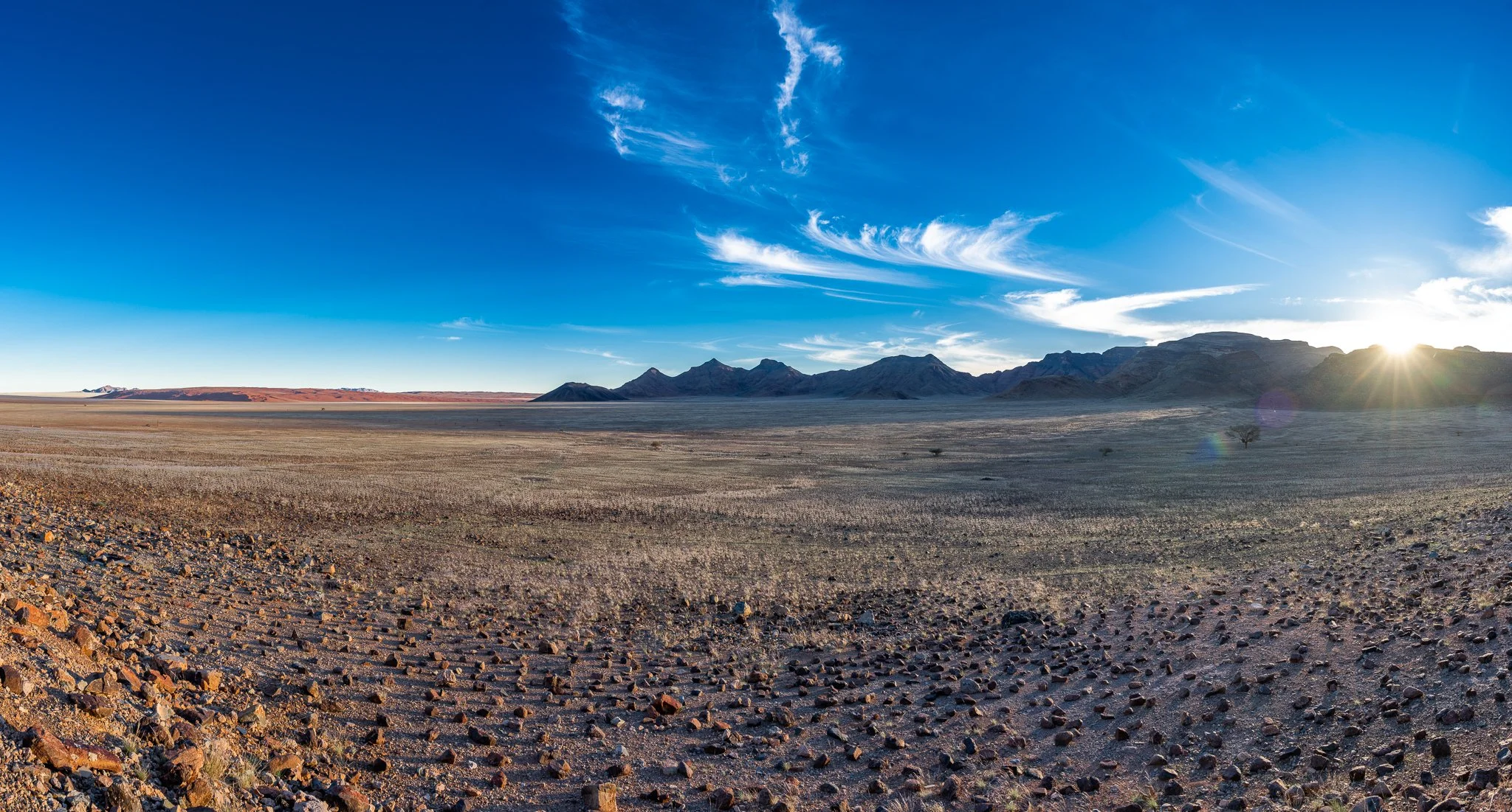 Z8D_6430-Pano.jpg