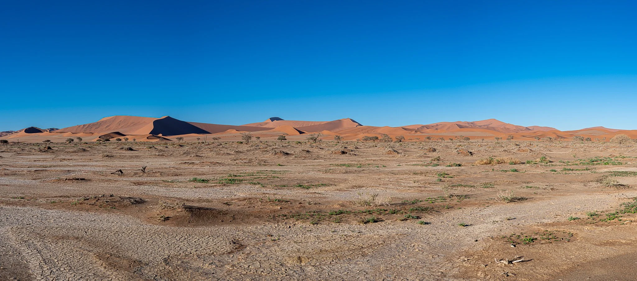 Z8D_6521-Pano.jpg