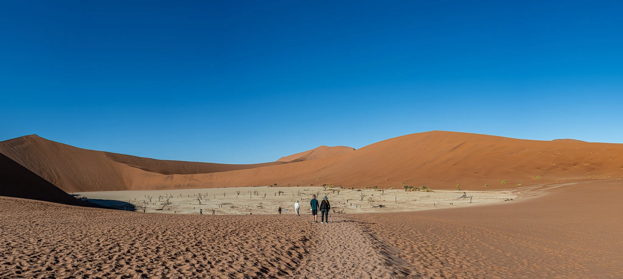 Z8D_6543-Pano.jpg