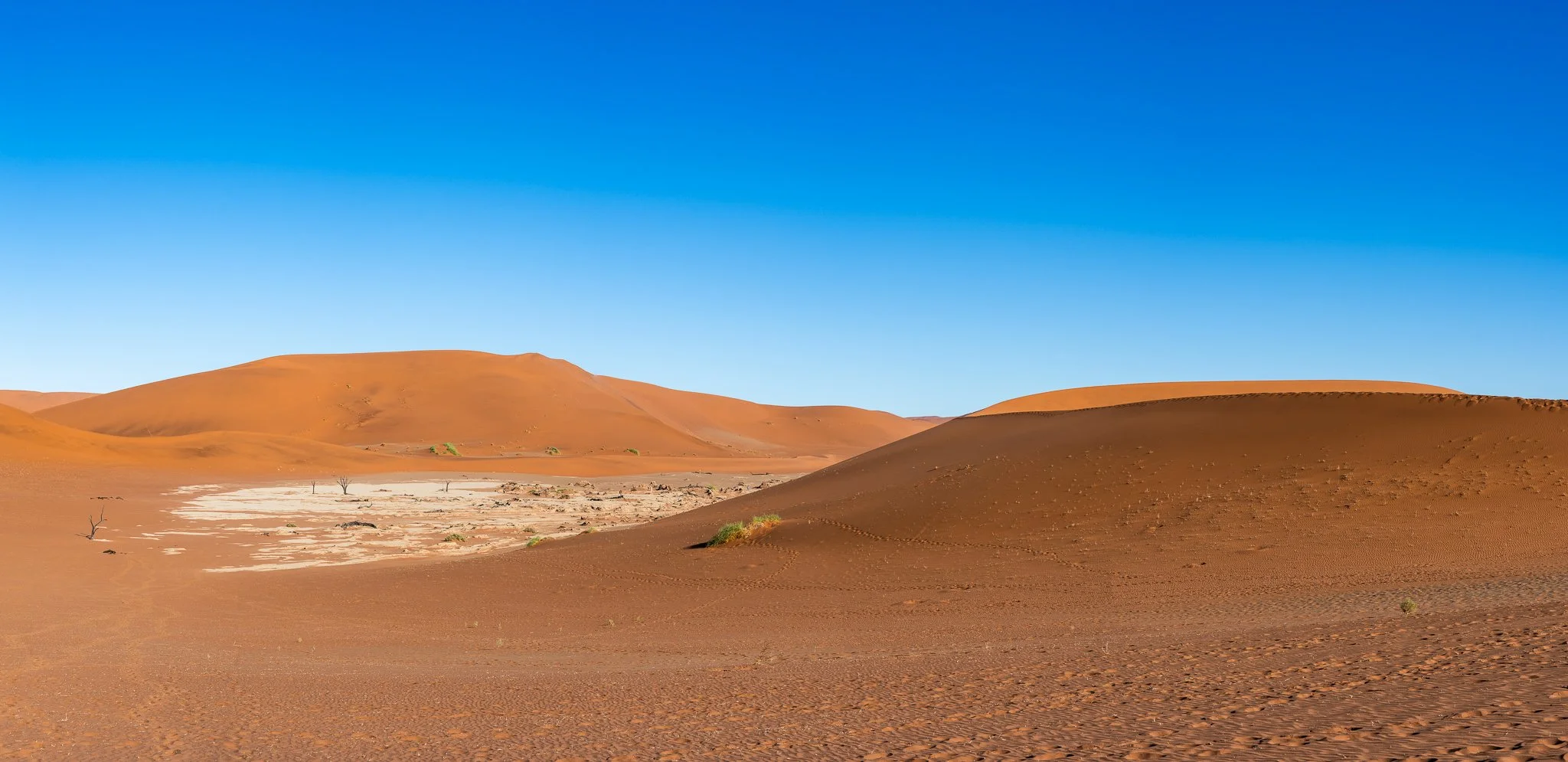Z8D_6552-Pano.jpg