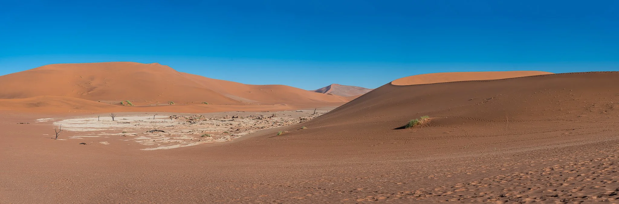 Z8D_6574-Pano.jpg