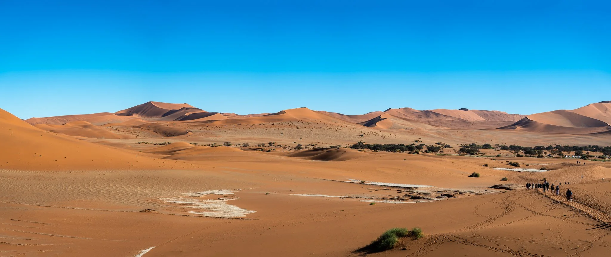 Z8D_6638-Pano.jpg