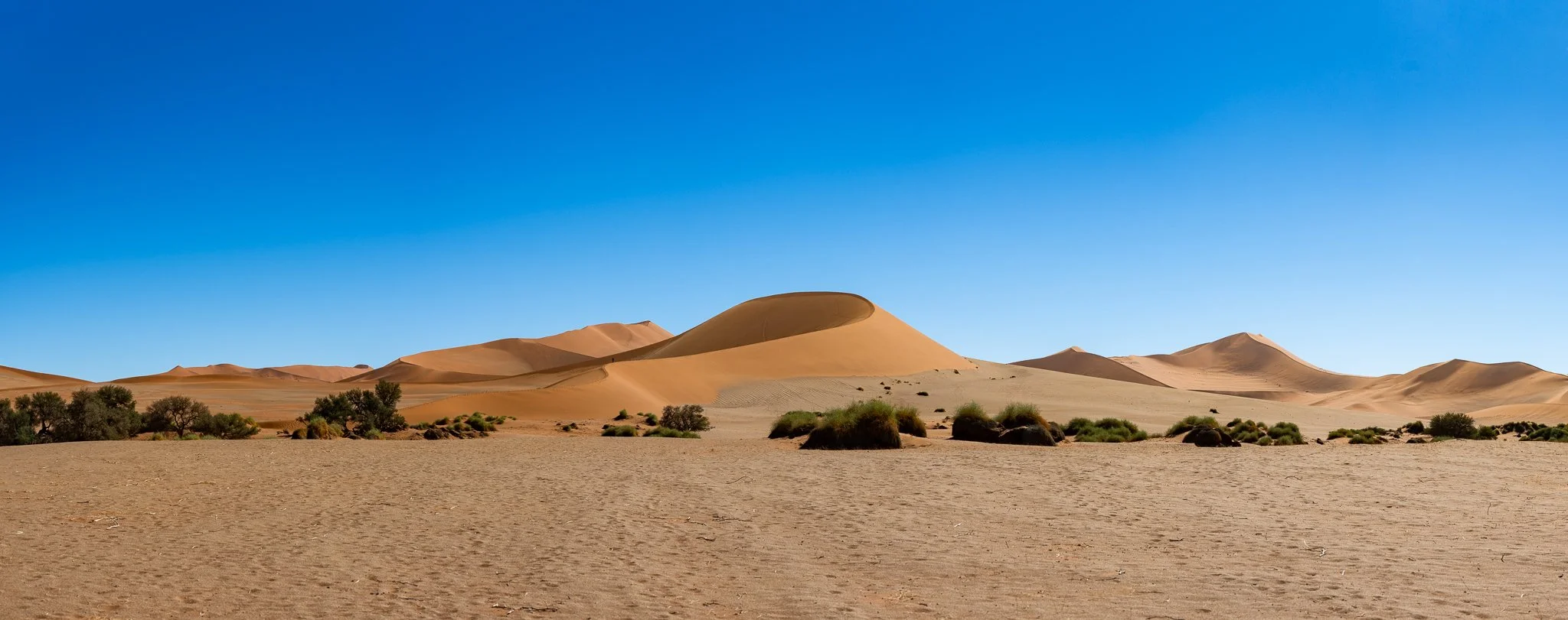 Z8D_6656-Pano.jpg