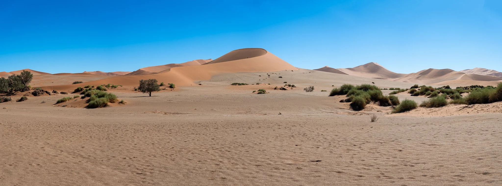 Z8D_6678-Pano.jpg