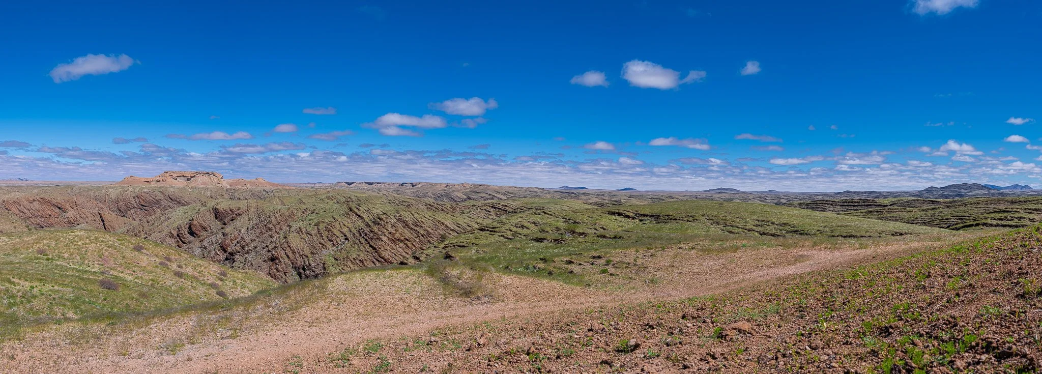 Z8D_6802-Pano.jpg