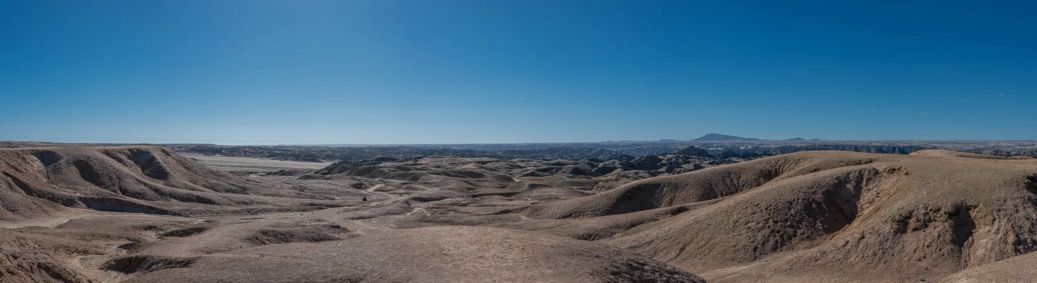 Z8D_6835-Pano.jpg