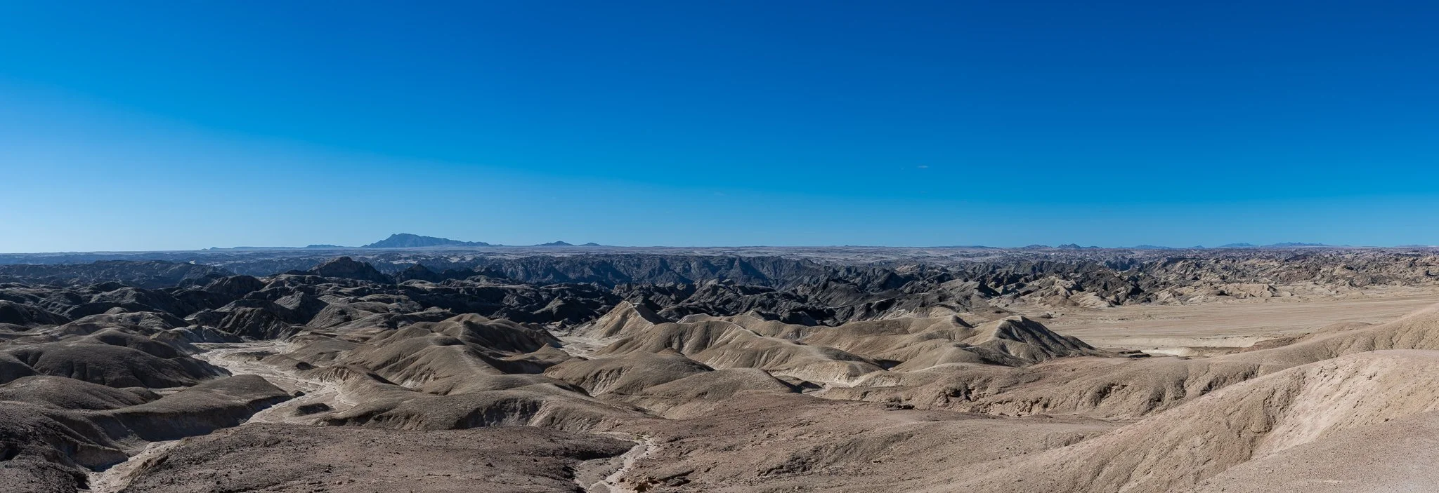 Z8D_6846-Pano.jpg