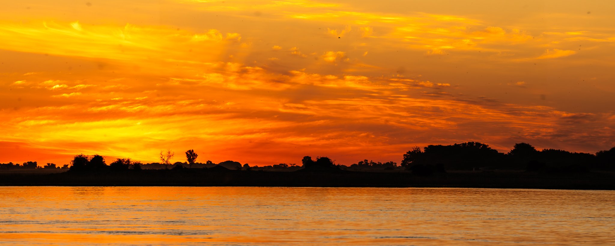 Z8D_7764-Pano.jpg