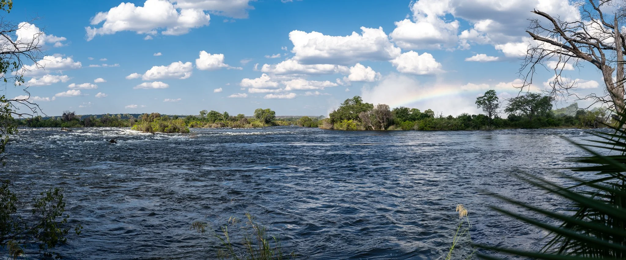 Z8D_8536-Pano.jpg
