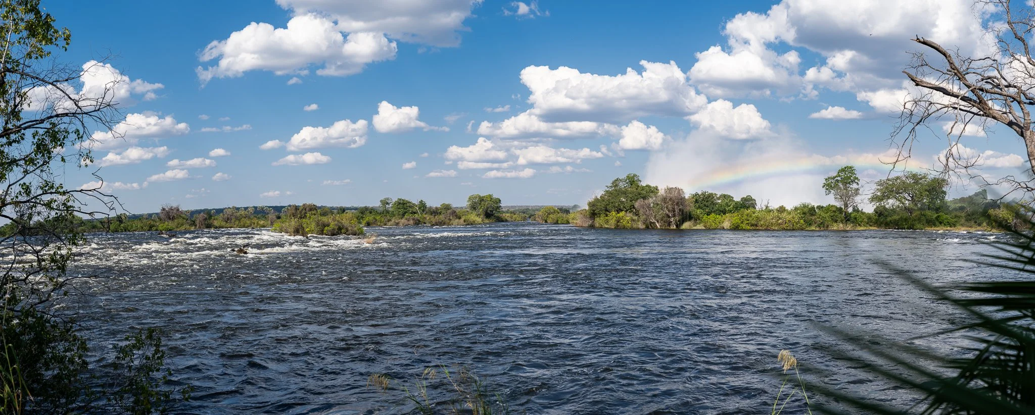 Z8D_8538-Pano.jpg