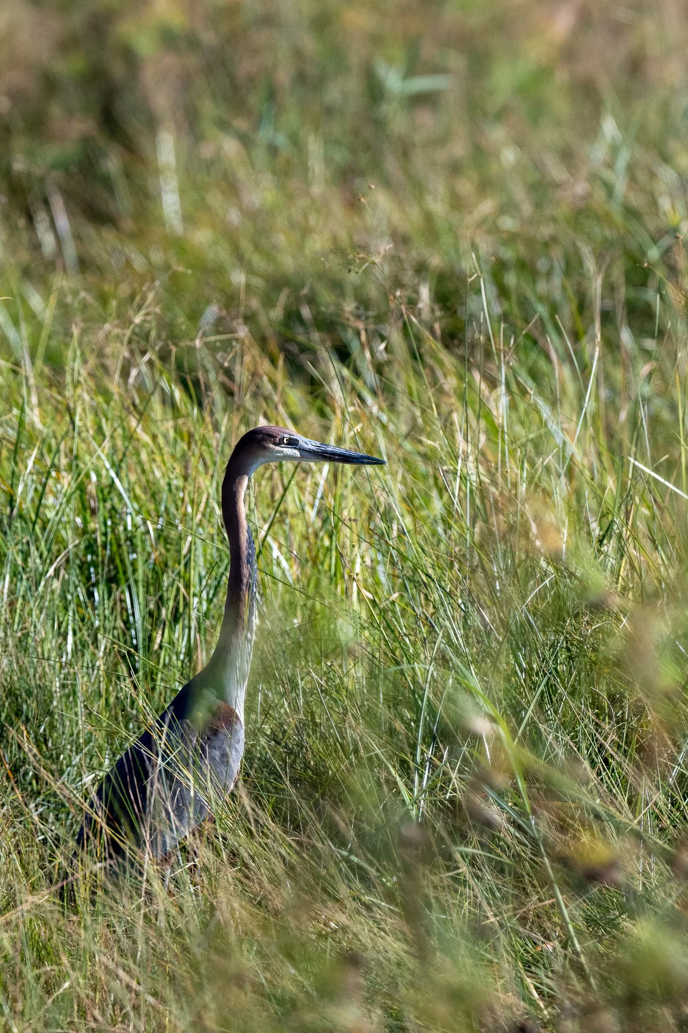Z9D_8608.jpg