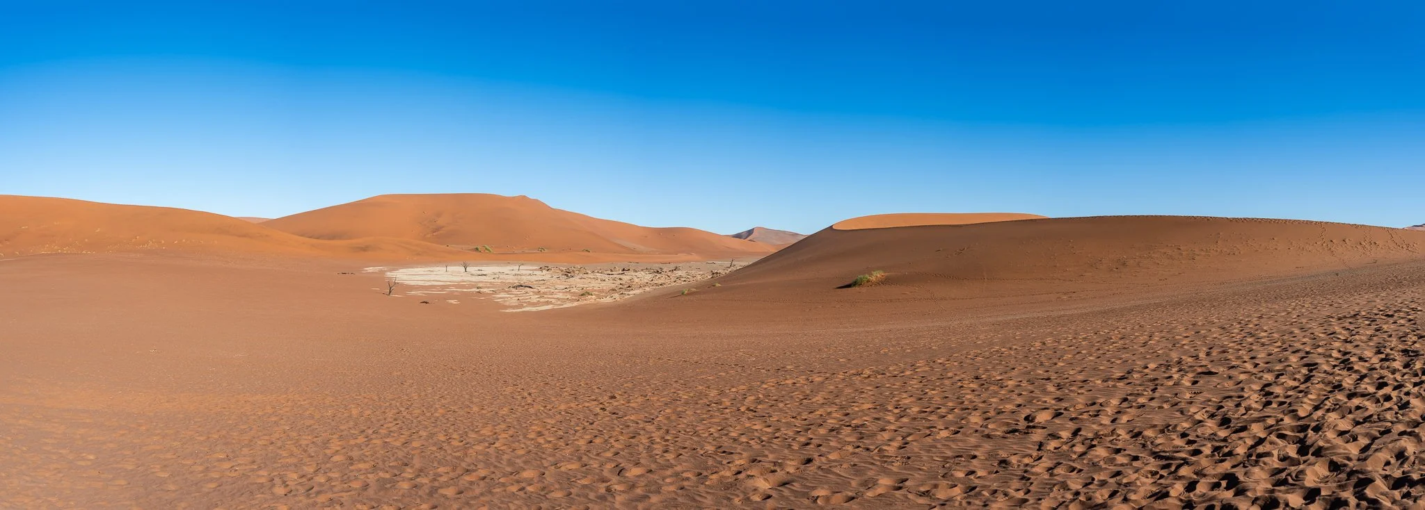 Z8D_6566-Pano.jpg