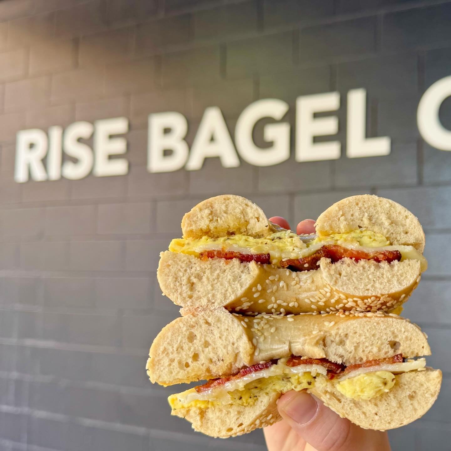 Treat yourself to a DELICIOUS 🤤&nbsp;breakfast sandwich like our classic egg &amp; cheese 🧀&nbsp;and add bacon or pork or vegan sausage for protein. Our variety of organic bagel flavors pairs well with our breakfast sandwiches! 

Rise and shine and