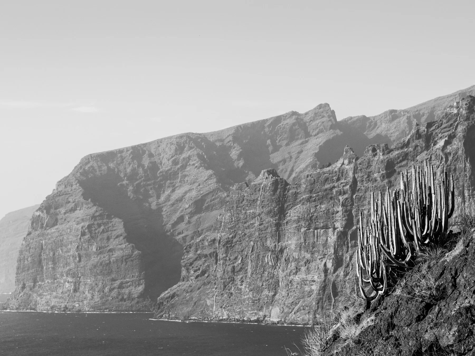 tenerife013.jpg