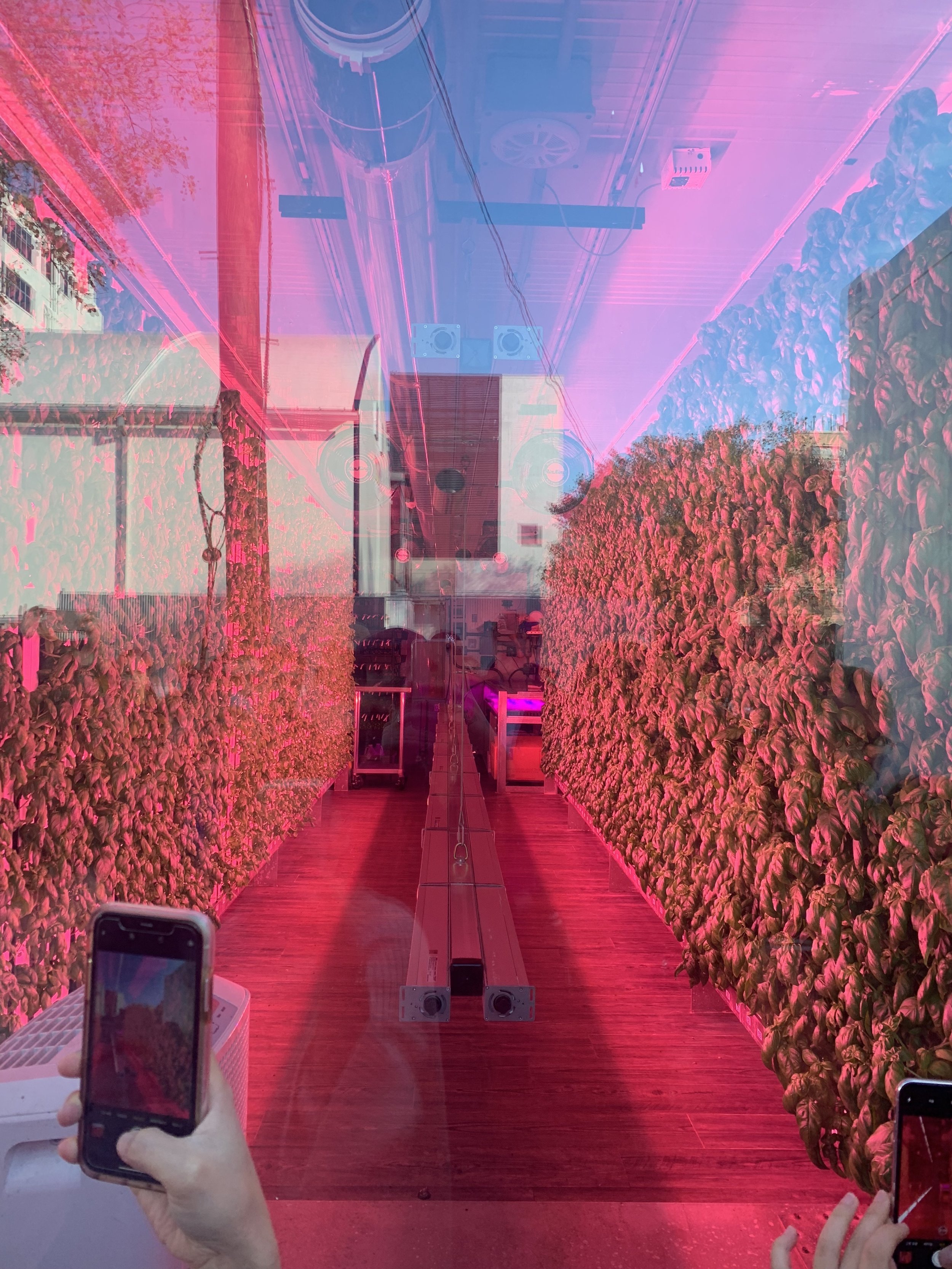 Week 07: Finding Part II