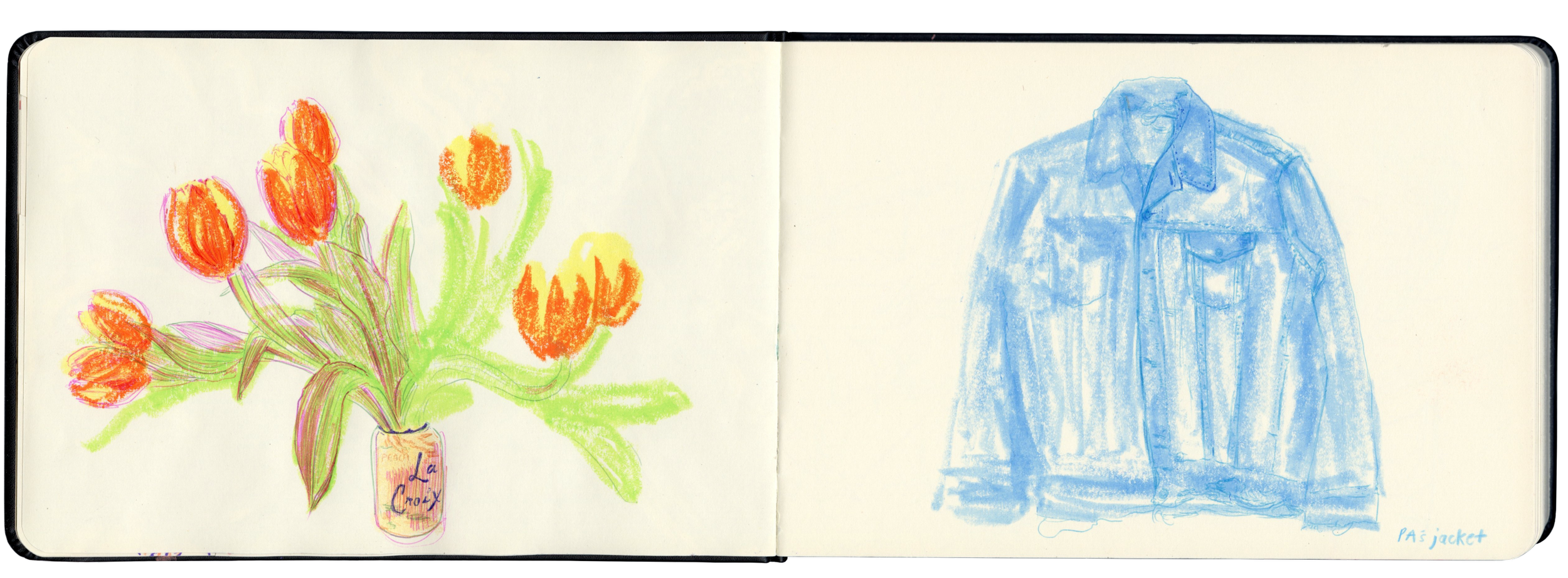 Colored pencils and tempera paint sticks.