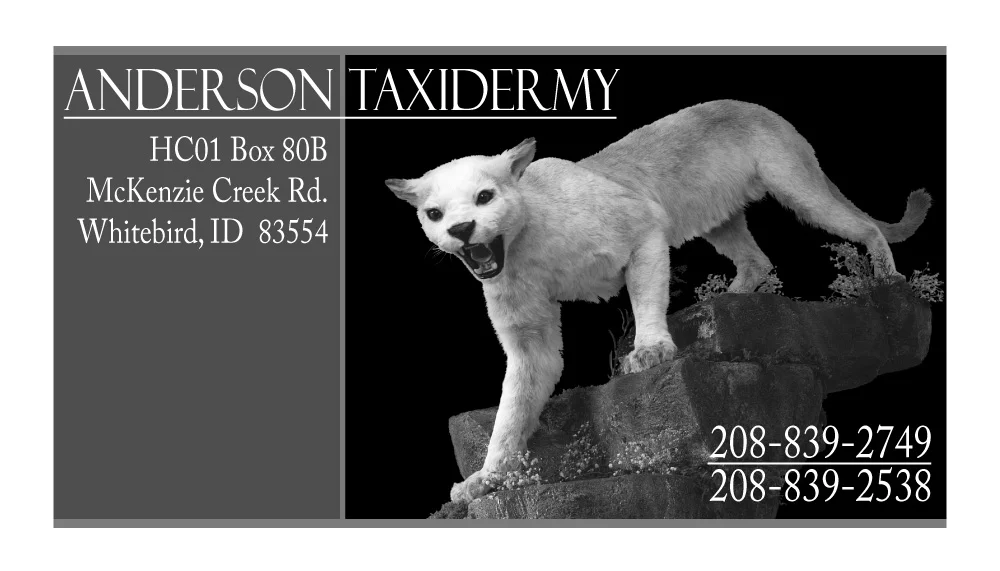 28409_JoeAnderson_GhostCat_bc_BW.jpg