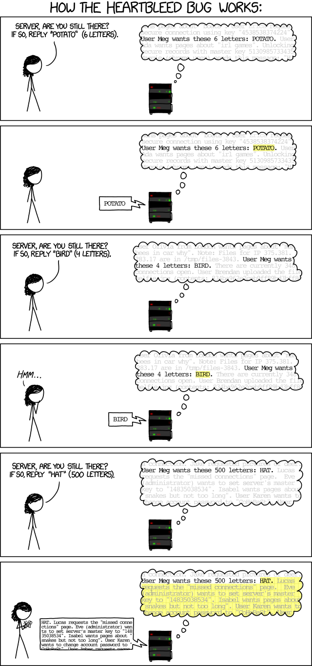 Answers to your questions about Heartbleed