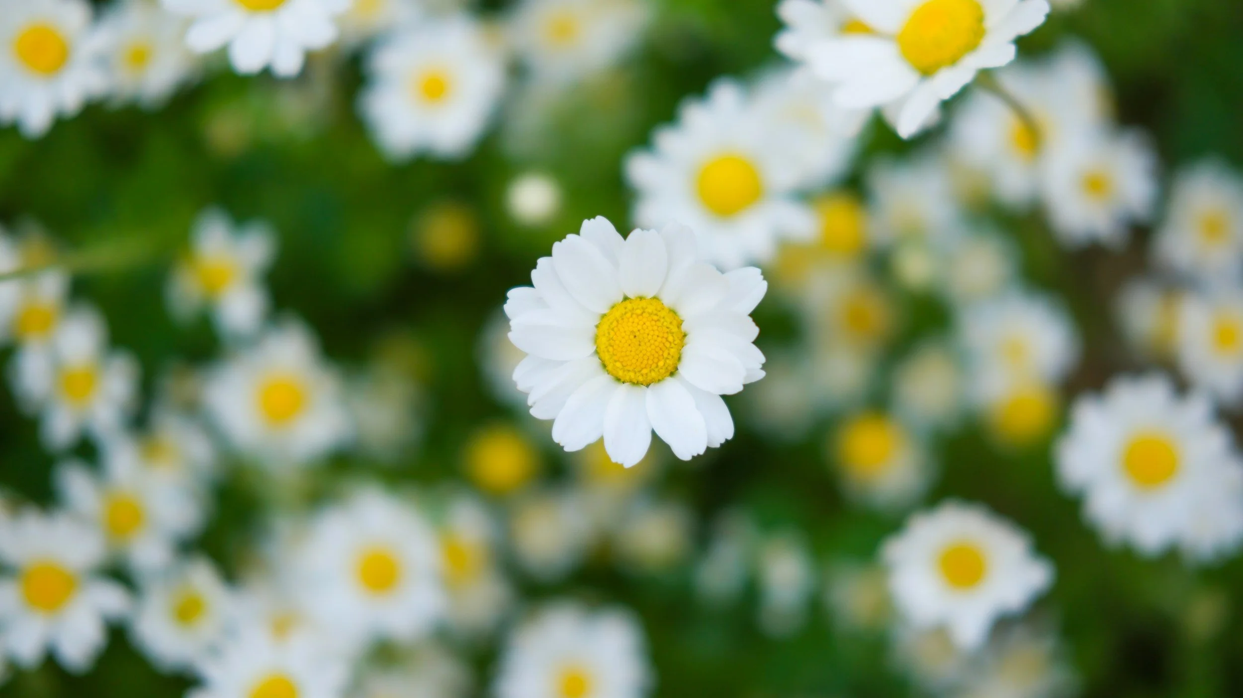 April showers bring more than flowers