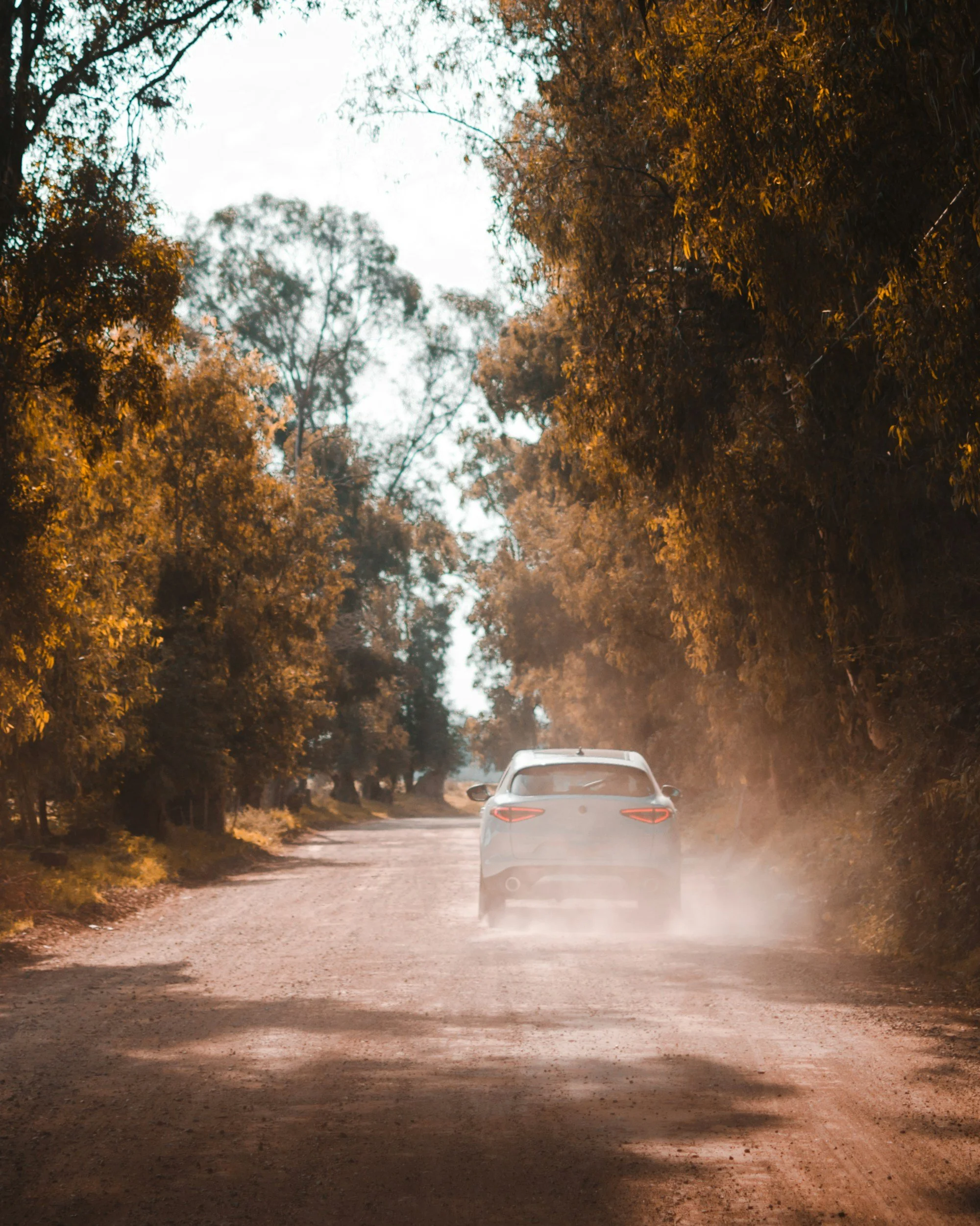 Back down this dusty road again