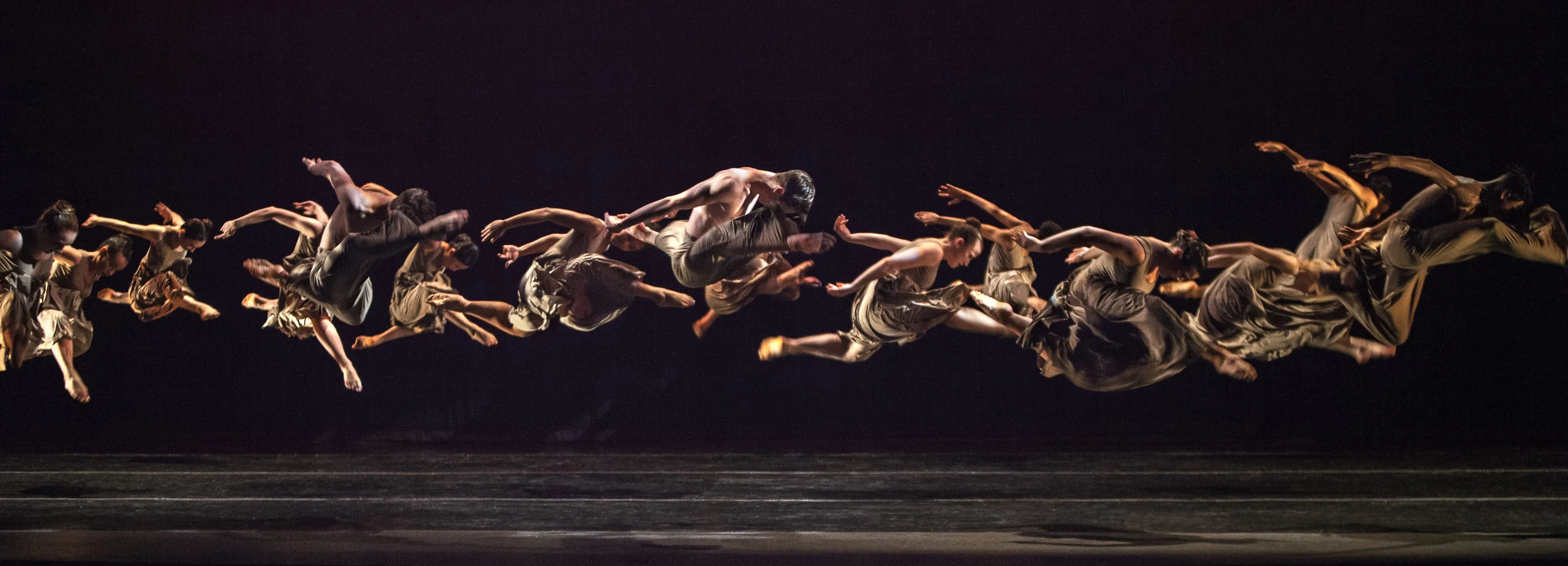 "If Humans Could Fly"