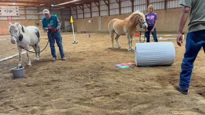 Equine therapy day!!!