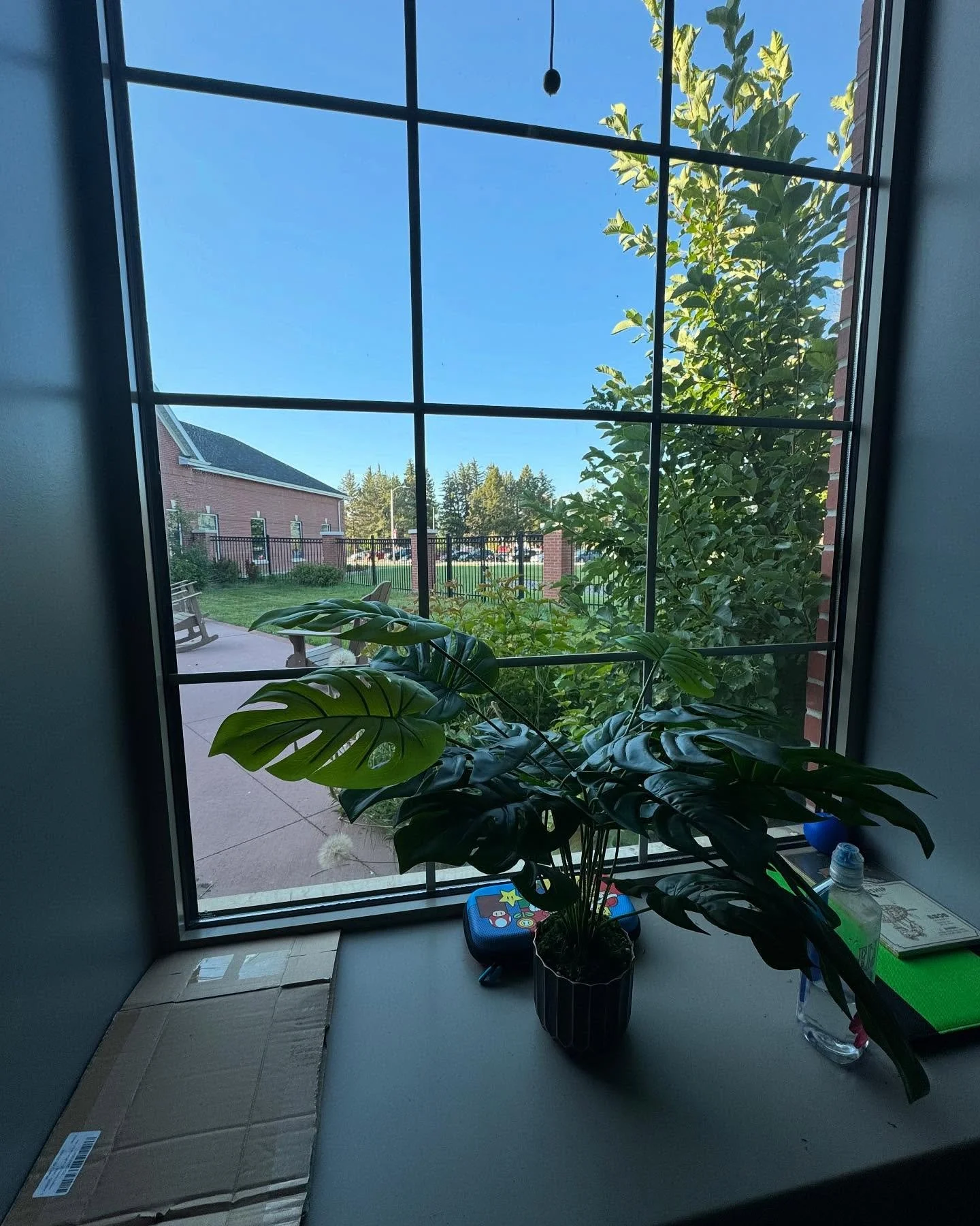 Morning views&hellip;.