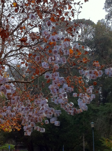  In  Time Stop Tree,  the artist placed boxes around the leaves of a tree during fall. The boxes were also attached to the branches of the tree with with monofilament. As the season progressed, detached leaves were prevented from falling, and remaine