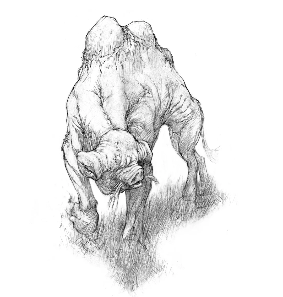 The Hammer-headed Camel Pig