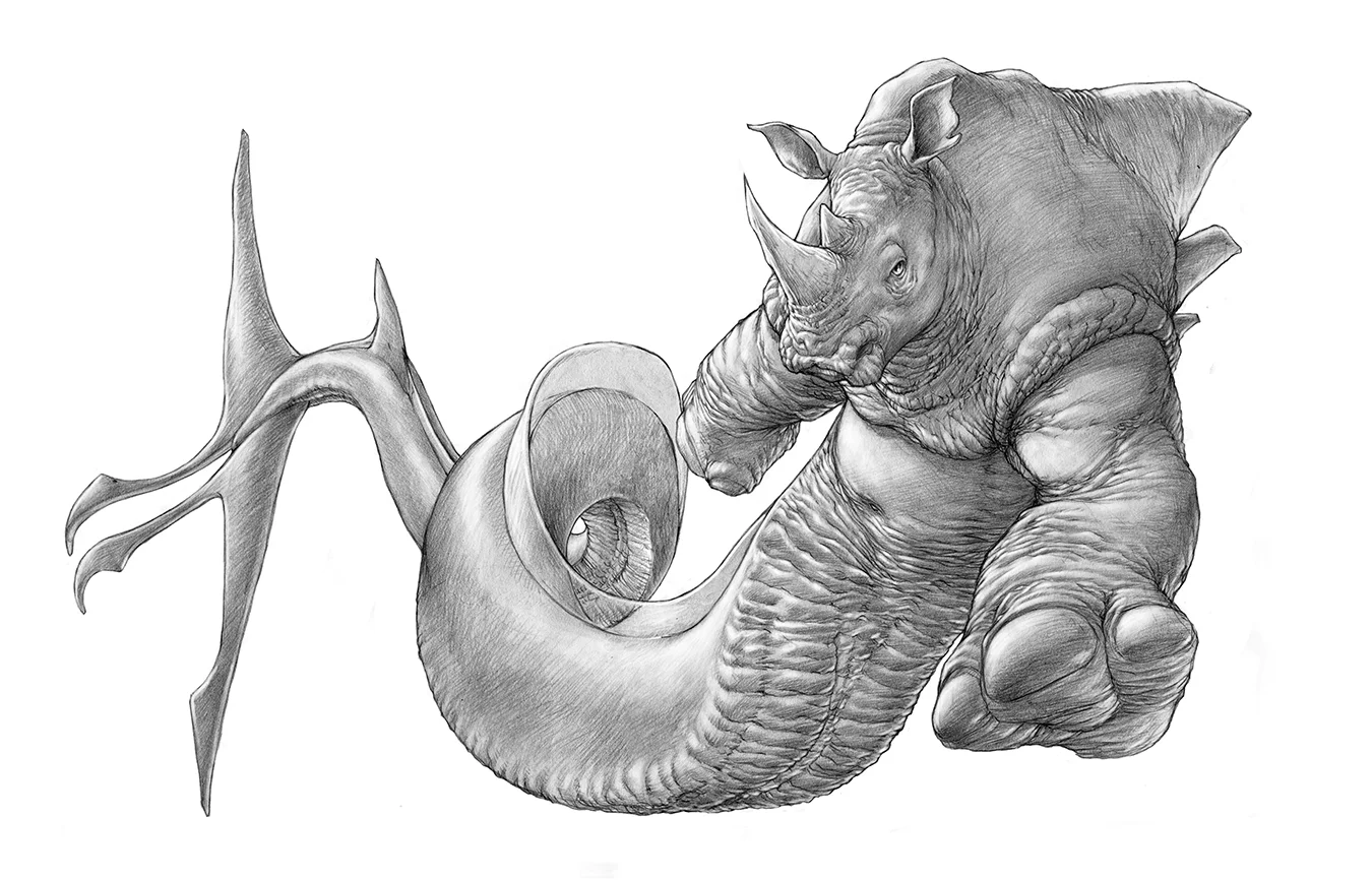The Rhinoceros Eel Shark