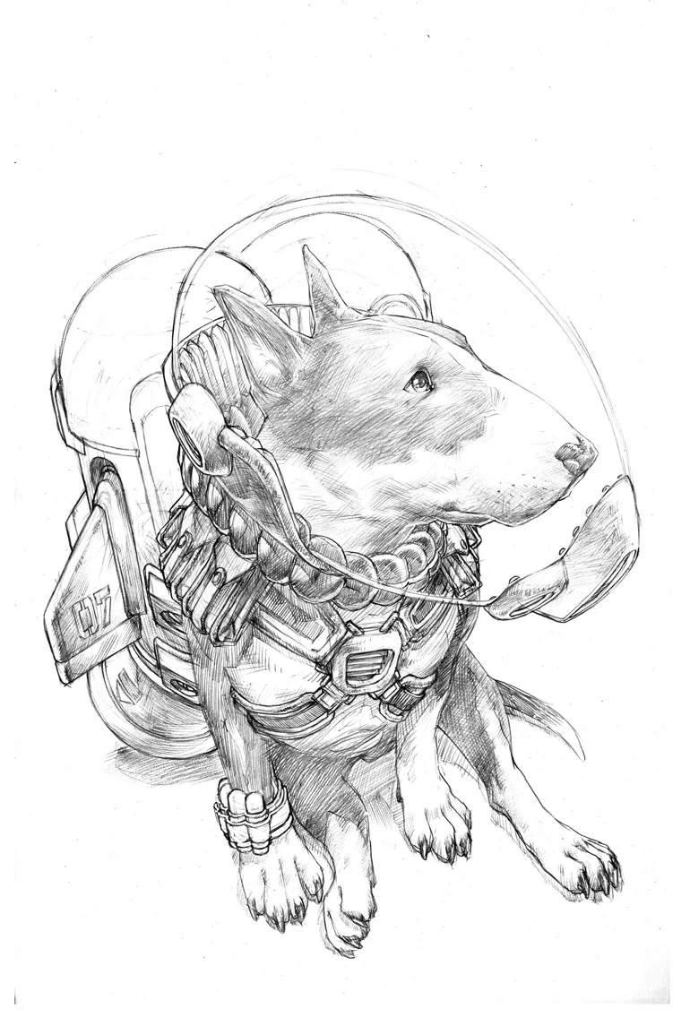 This is a quick sketch of Curtiss, an incredibly smart Bull Terrier I had the pleasure of taking care of for a long time. 