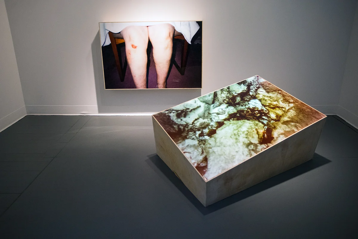 Sumaray_OpenStudios_F2015-17.jpg