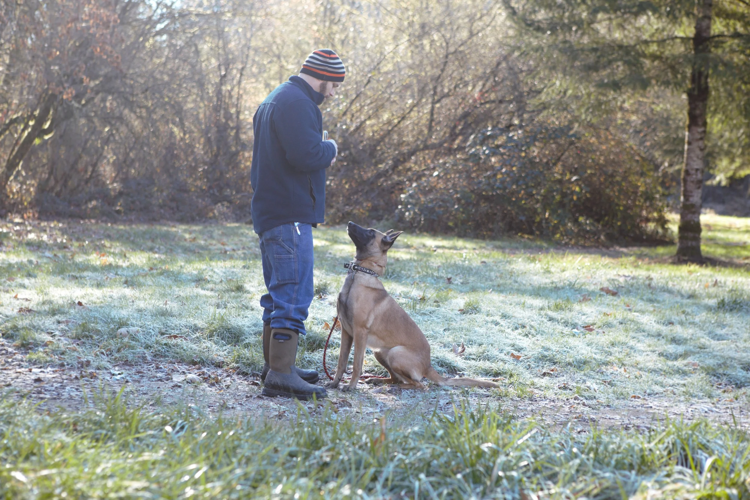 Josh and Hemi