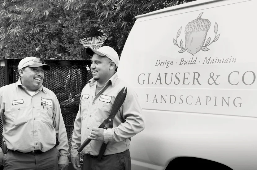 Glauser_10.jpg