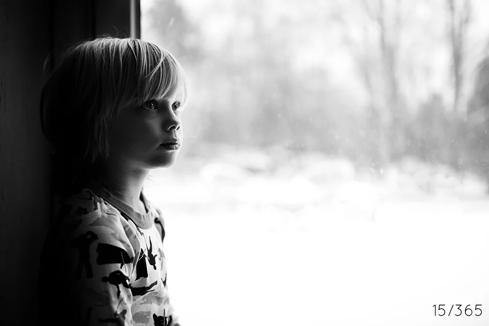 day_15_2013.jpg